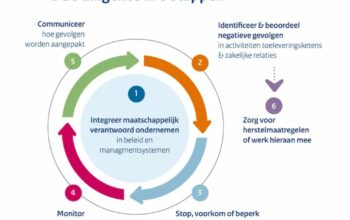 Ontwikkeling in due diligence