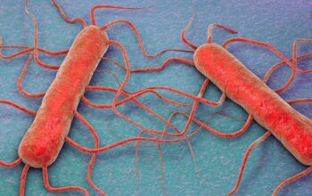 Nieuwe Listeria wetgeving voor Ready-to-Eat producten: wat verandert er?